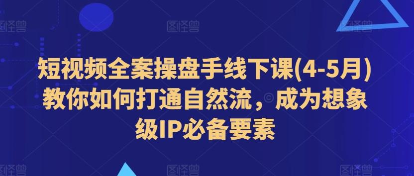 短视频全案操盘手线下课(4-5月)教你如何打通自然流，成为想象级IP必备要素-皮皮网创
