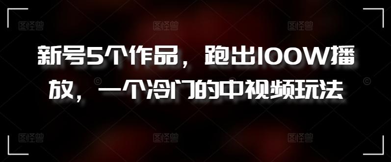 新号5个作品，跑出100W播放，一个冷门的中视频玩法【揭秘】-皮皮网创