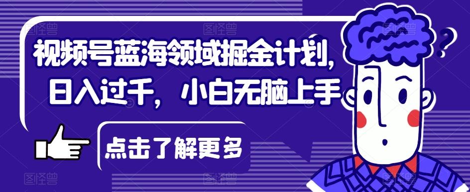 视频号蓝海领域掘金计划，日入过千，小白无脑上手【揭秘】-皮皮网创