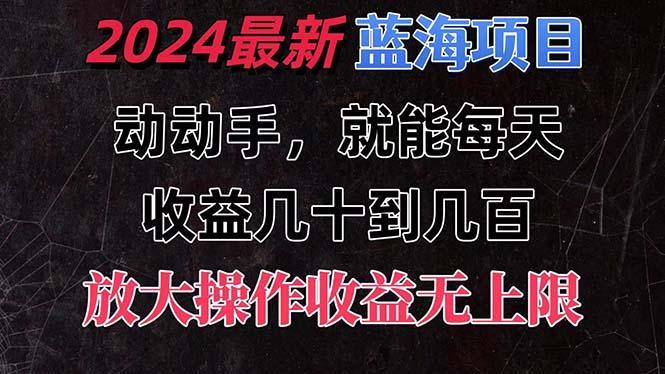 有手就行的2024全新蓝海项目，每天1小时收益几十到几百，可放大操作收…-皮皮网创