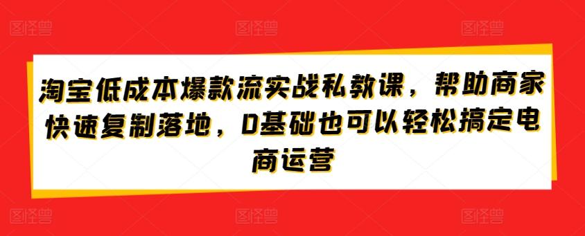 淘宝低成本爆款流实战私教课，帮助商家快速复制落地，0基础也可以轻松搞定电商运营-皮皮网创