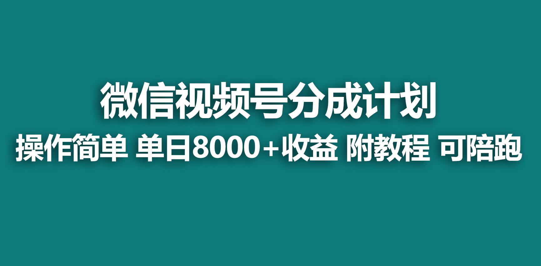 【蓝海项目】视频号分成计划，快速开通收益，单天爆单8000+，送玩法教程-皮皮网创