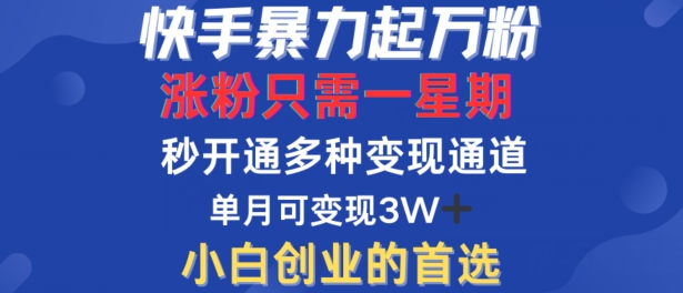 快手暴力起万粉，涨粉只需一星期，多种变现模式，直接秒开万合，单月变现过W【揭秘】-皮皮网创