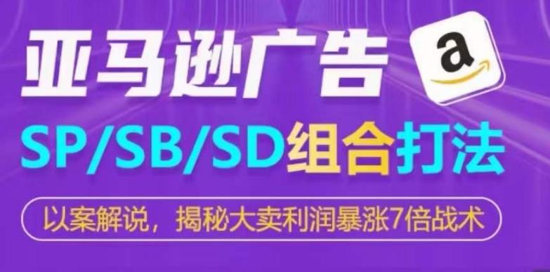 亚马逊SP/SB/SD广告组合打法，揭秘大卖利润暴涨7倍战术-皮皮网创
