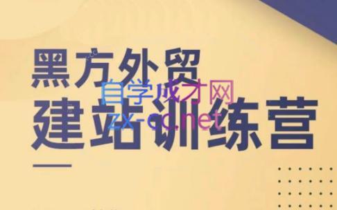 黑方老师·谷歌B端独立站建站推广-皮皮网创