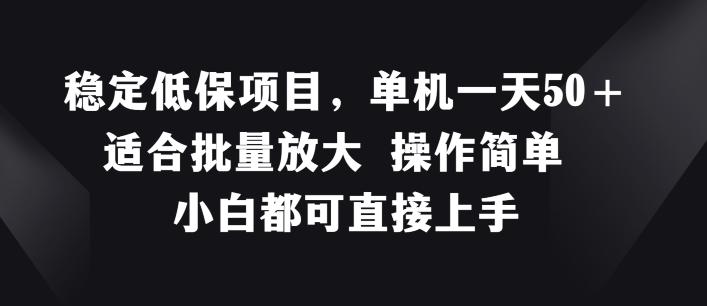 稳定低保项目，单机一天50+适合批量放大 操作简单 小白都可直接上手【揭秘】-皮皮网创