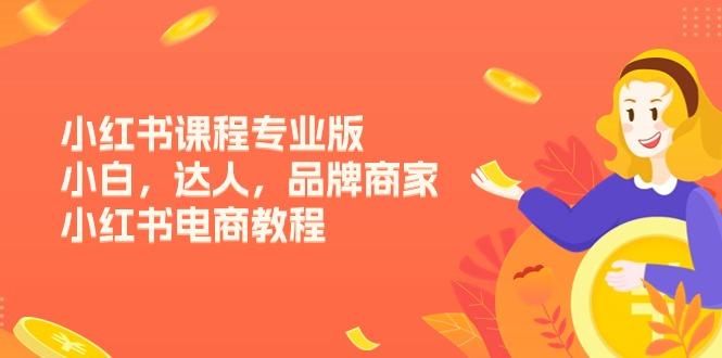 小红书课程专业版，小白，达人，品牌商家，小红书电商教程(15节-皮皮网创