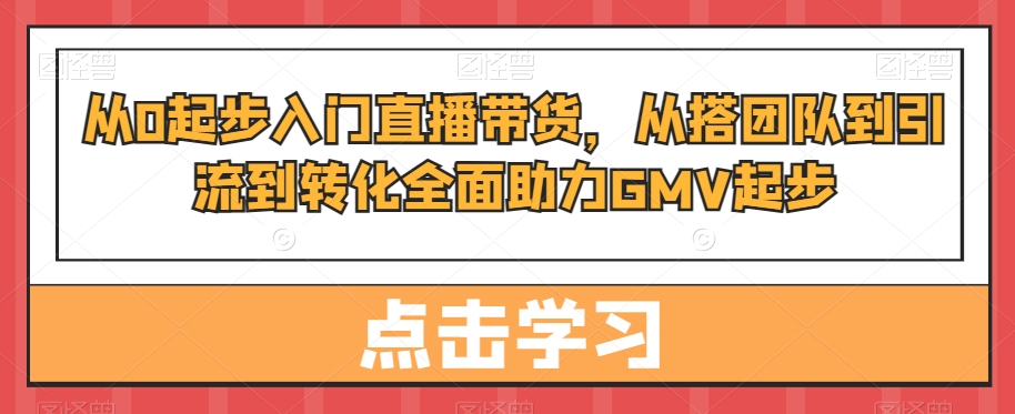 从0起步入门直播带货，​从搭团队到引流到转化全面助力GMV起步-皮皮网创