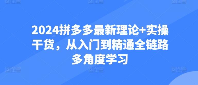 2024拼多多最新理论+实操干货，从入门到精通全链路多角度学习-皮皮网创