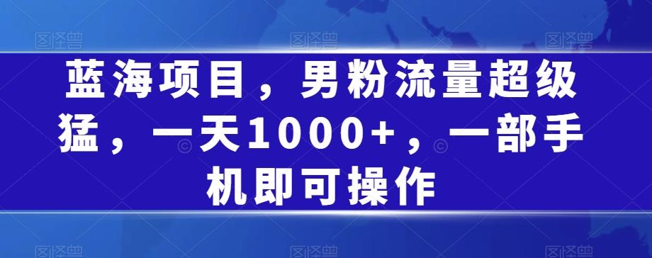 蓝海项目，男粉流量超级猛，一天1000+，一部手机即可操作【揭秘】-皮皮网创