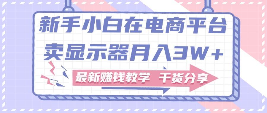 新手小白如何做到在电商平台卖显示器月入3W+，最新赚钱教学干货分享-皮皮网创