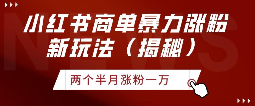 小红书商单暴力涨粉新玩法两个半月涨粉一万（揭秘）-皮皮网创