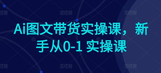 Ai图文带货实操课，新手从0-1 实操课-皮皮网创