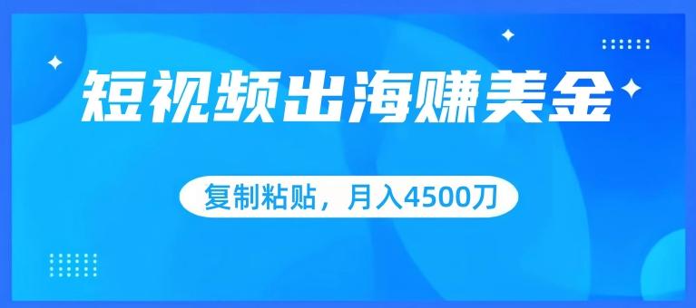 短视频出海赚美金，复制粘贴批量操作，小白轻松掌握，月入4500美刀【揭秘】-皮皮网创