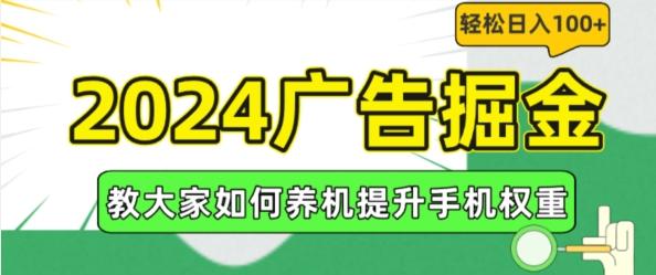 2024广告掘金，教大家如何养机提升手机权重，轻松日入100+【揭秘】-皮皮网创