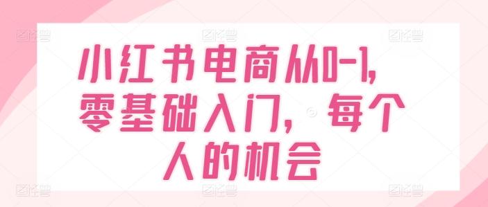小红书电商从0-1，零基础入门，每个人的机会-皮皮网创