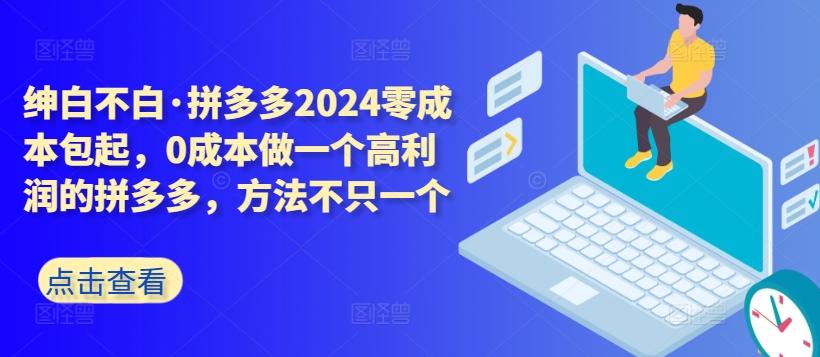拼多多2024零成本包起，0成本做一个高利润的拼多多，方法不只一个-皮皮网创