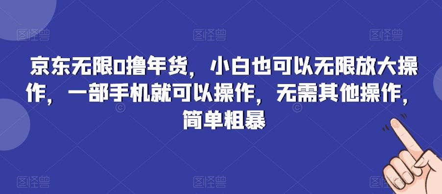京东无限0撸年货，小白也可以无限放大操作，一部手机就可以操作，无需其他操作，简单粗暴-皮皮网创