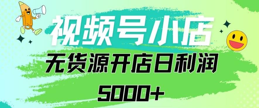 视频号无货源小店从0到1日订单量千单以上纯利润稳稳5000+【揭秘】-皮皮网创