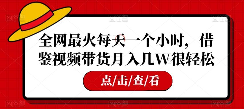 全网最火每天一个小时，借鉴视频带货月入几W很轻松【揭秘】-皮皮网创