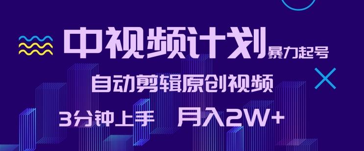 中视频计划暴力起号，自动剪辑原创视频，3分钟上手，月入2W+【揭秘】-皮皮网创