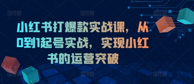 小红书打爆款实战课，从0到1起号实战，实现小红书的运营突破-皮皮网创