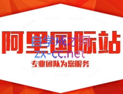 张杰老师·外贸国际站运营顾问-皮皮网创