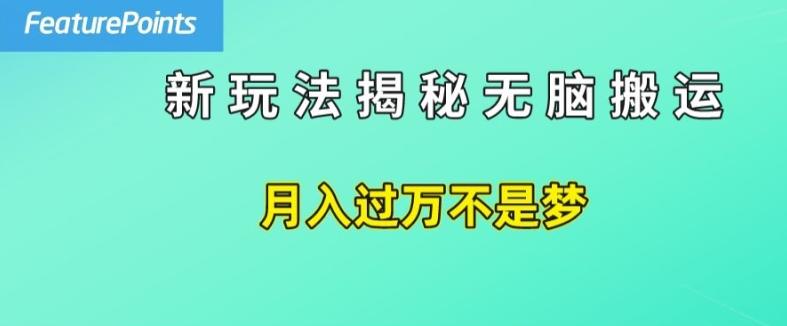简单操作，每天50美元收入，搬运就是赚钱的秘诀【揭秘】-皮皮网创