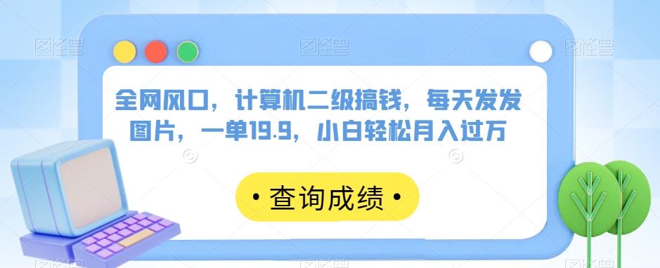 全网风口，计算机二级搞钱，每天发发图片，一单19.9，小白轻松月入过万【揭秘】-皮皮网创