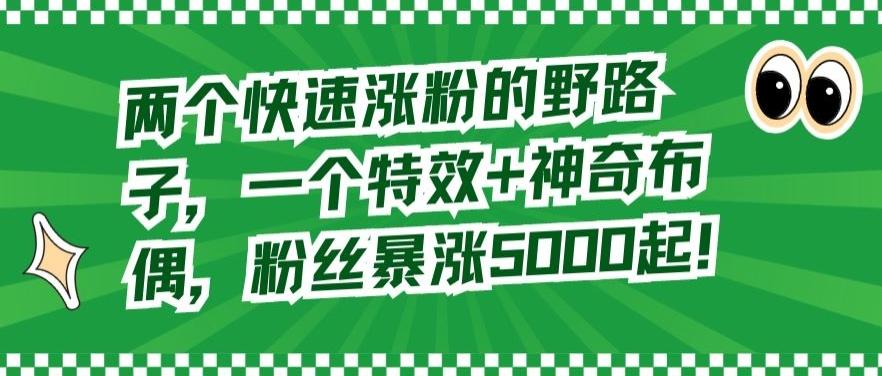 两个快速涨粉的野路子，一个特效+神奇布偶，粉丝暴涨5000起【揭秘】-皮皮网创
