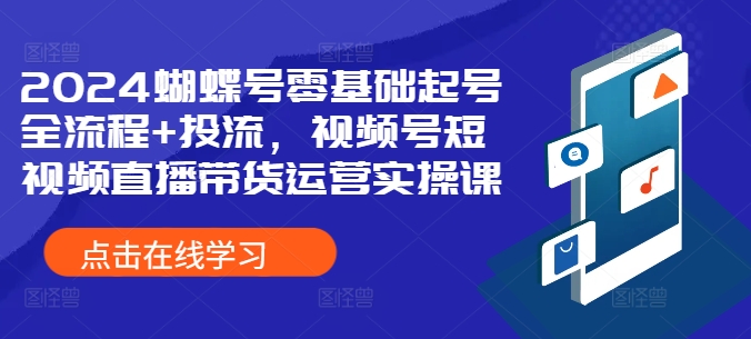 2024蝴蝶号零基础起号全流程+投流，视频号短视频直播带货运营实操课-皮皮网创