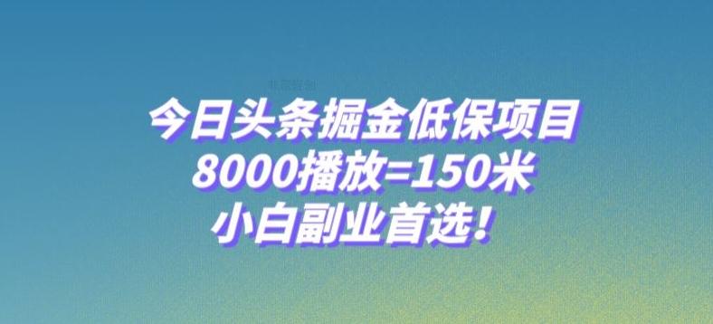 今日头条掘金低保项目，8000播放=150米，小白副业首选【揭秘】-皮皮网创
