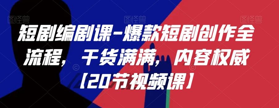 短剧编剧课-爆款短剧创作全流程，干货满满，内容权威【20节视频课】-皮皮网创