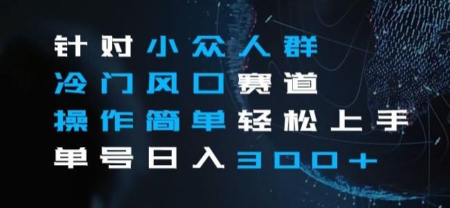 针对小众人群冷门风口赛道，操作简单轻松上手单号日入300+-皮皮网创