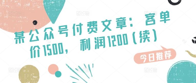 某公众号付费文章：客单价1500，利润1200(续)，市场几乎可以说是空白的-皮皮网创