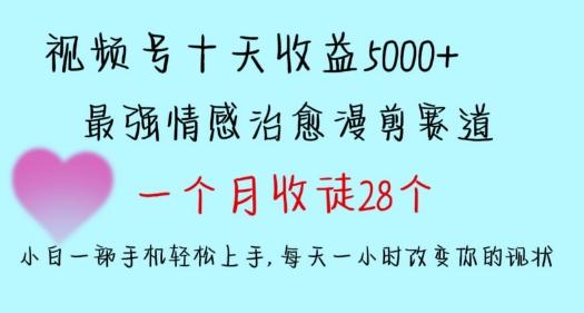 十天收益5000+，多平台捞金，视频号情感治愈漫剪，一个月收徒28个，小白一部手机轻松上手【揭秘】-皮皮网创