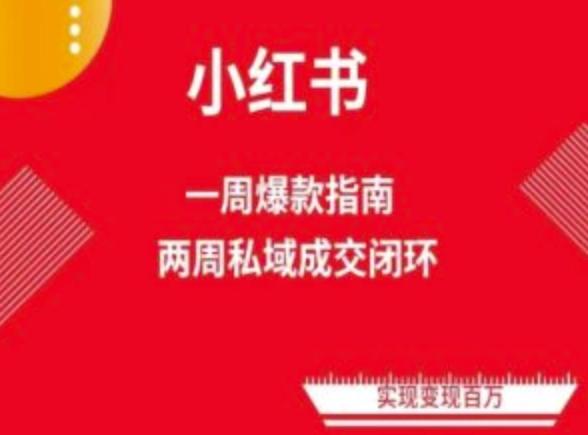 爆款小红书免费流量体系课程(两周变现)，小红书电商教程-皮皮网创