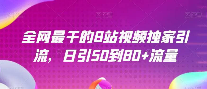全网最干的B站视频独家引流，日引50到80+流量【揭秘】-皮皮网创