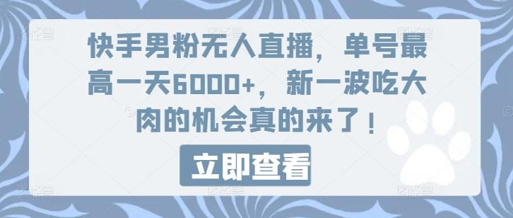 快手男粉无人直播，单号最高一天6000+，新一波吃大肉的机会真的来了-皮皮网创