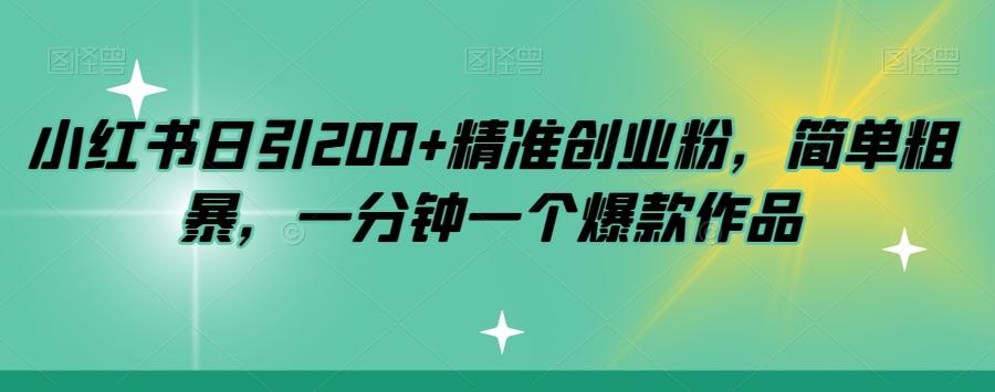 小红书日引200+精准创业粉，简单粗暴，一分钟一个爆款作品【揭秘】-皮皮网创