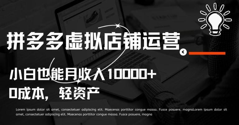 拼多多虚拟店铺运营小白也能月收入10000+【揭秘】-皮皮网创
