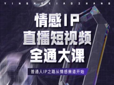 情感IP直播短视频全通大课，普通人IP之路从情感赛道开始-皮皮网创