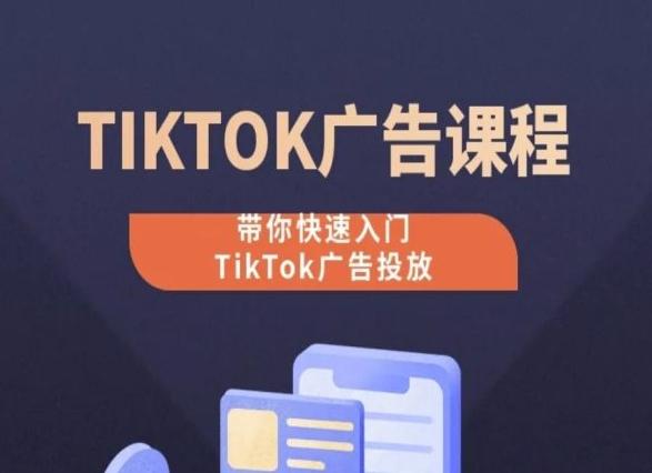 TikTok广告投放课程，从0-1实操课，带你快速入门TikTok广告投放-皮皮网创