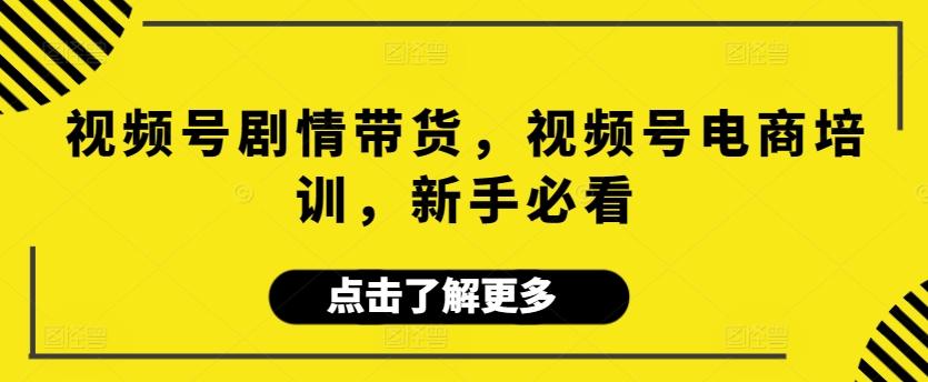 视频号剧情带货，视频号电商培训，新手必看-皮皮网创