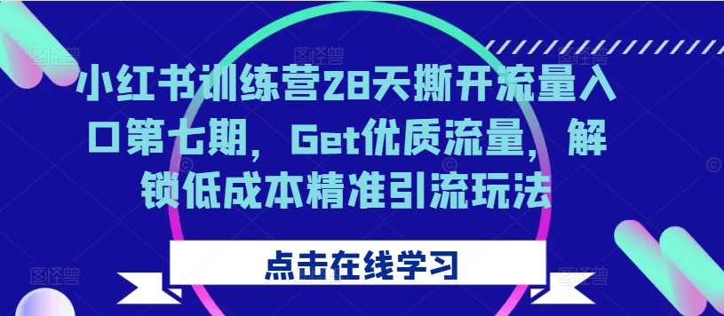 小红书训练营28天撕开流量入口第七期，Get优质流量，解锁低成本精准引流玩法-皮皮网创