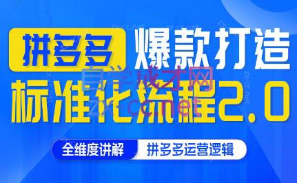 云杉老师·拼多多爆款打造标准化流程2.0-皮皮网创