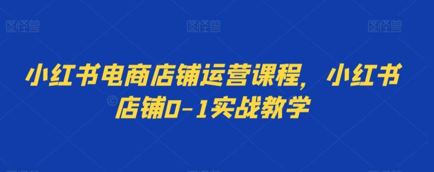 小红书电商店铺运营课程，小红书店铺0-1实战教学-皮皮网创