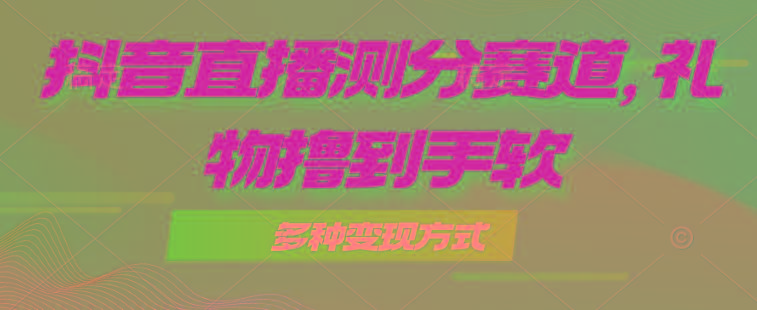 抖音直播测分赛道，多种变现方式，轻松日入1000+-皮皮网创