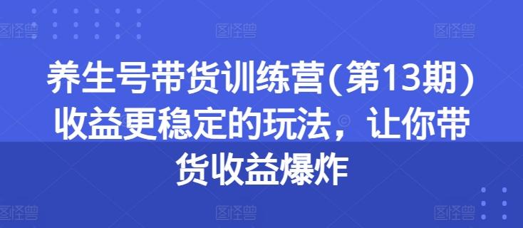 养生号带货训练营(第13期)收益更稳定的玩法，让你带货收益爆炸-皮皮网创