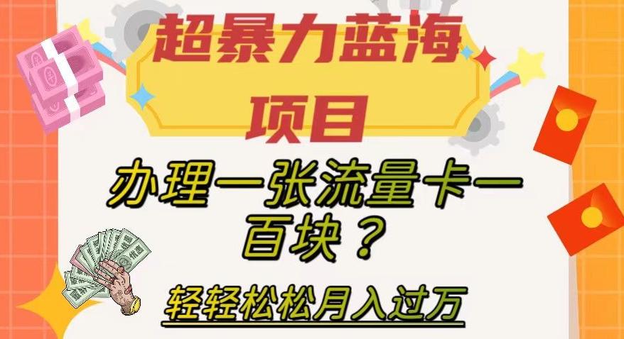 超暴力蓝海项目，办理一张流量卡一百块？轻轻松松月入过万，保姆级教程【揭秘】-皮皮网创